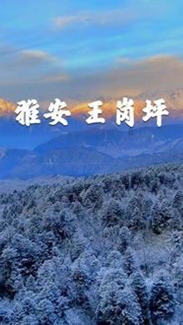 1999年一部车沉溺湖底，5年后被捞出，打开后发现里面坐着个人